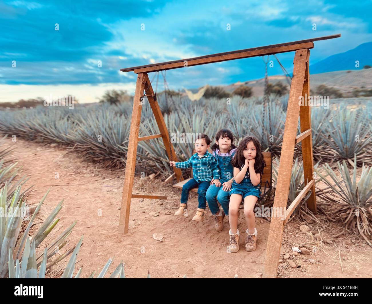 Kids in tequila Jalisco with agave azul around them Stock Photo Alamy