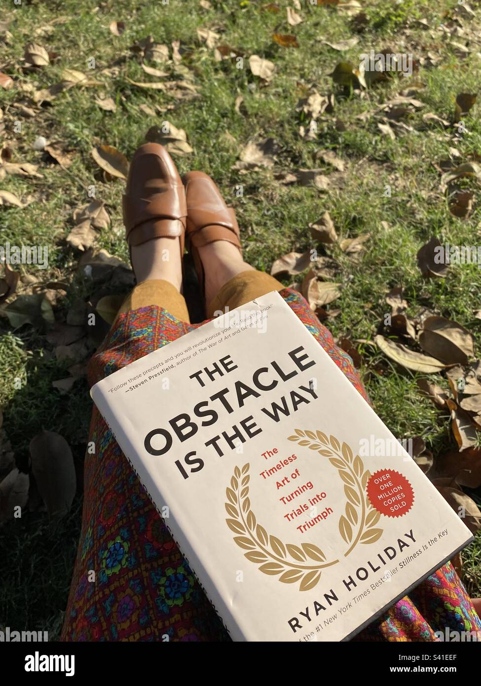 The Obstacle Is The Way- Book Reading Stock Photo - Alamy