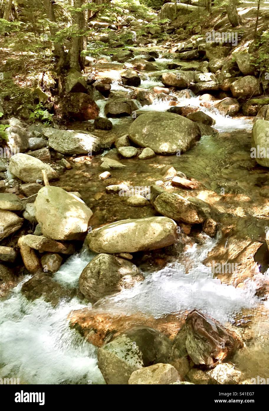 River bed at The Flume Gorge in Franconia Notch State Park, Lincoln, New Hampshire - Smartphone Captured Stock Image