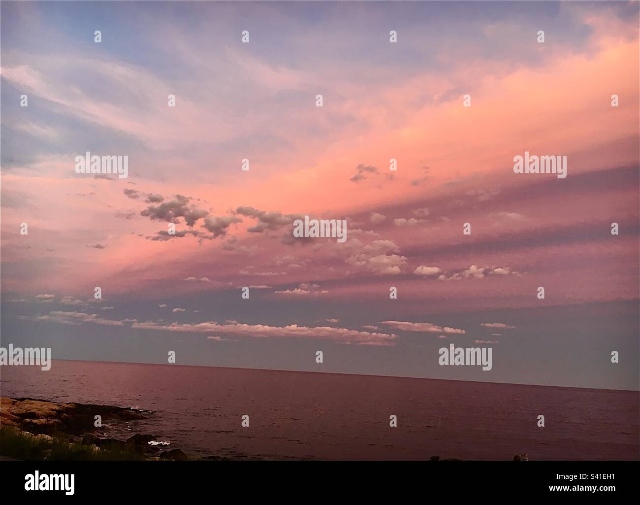 View from Magnolia neighborhood of seaside Gloucester, Massachusetts at sunset in summer creating a pink reflection in the ocean from the pink sky - Smartphone Captured Stock Image