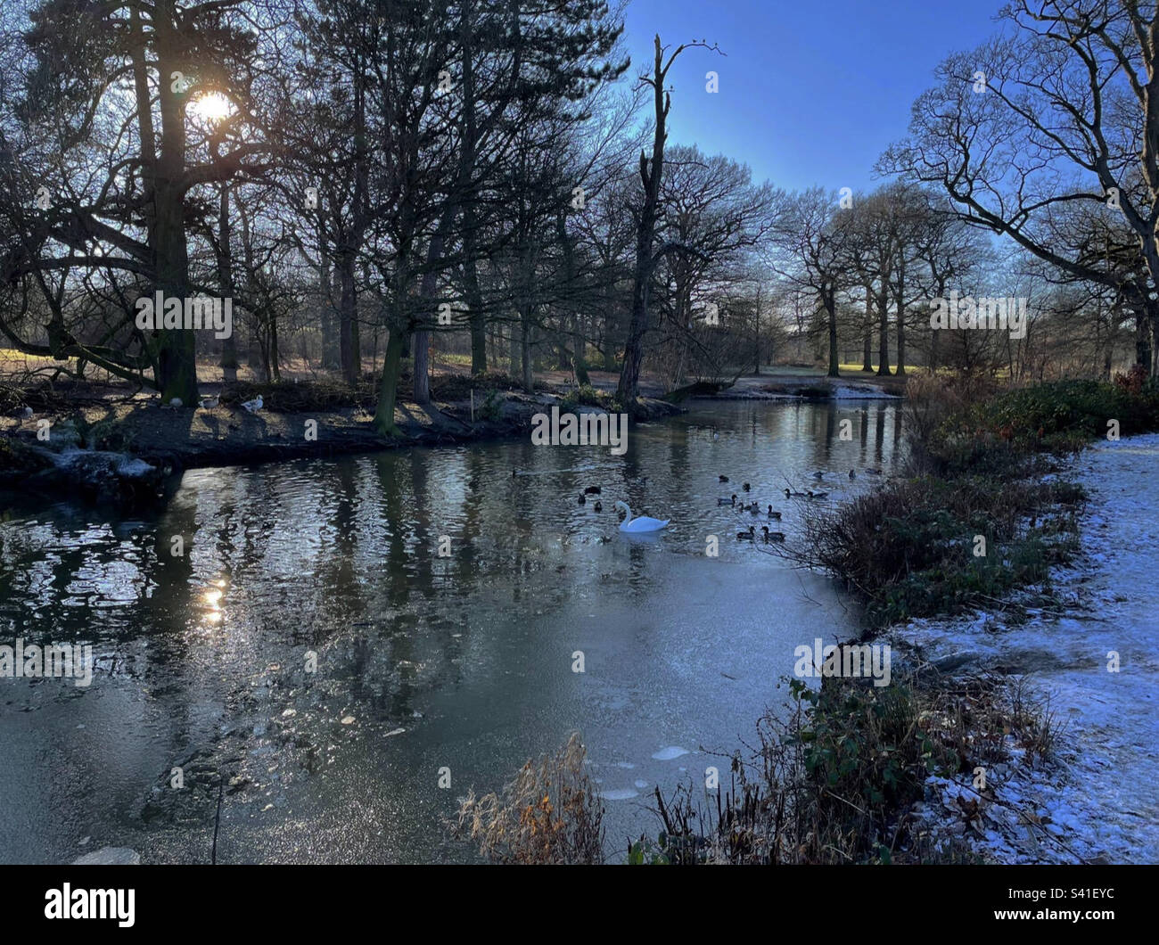 River Sunset - Smartphone Captured Stock Image
