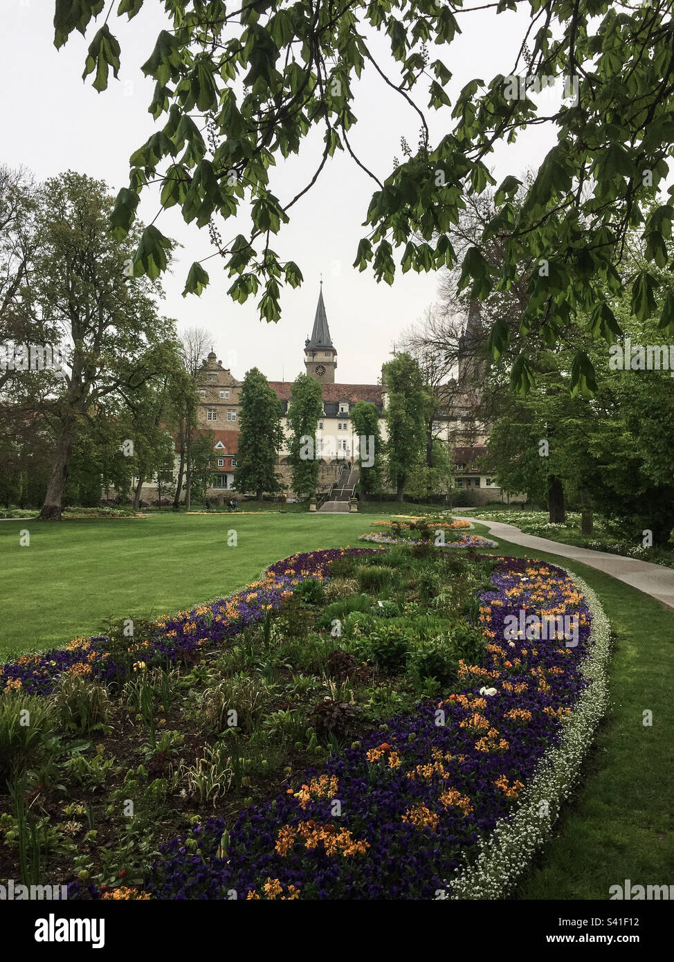 Flower bed in a park in spring - Smartphone Captured Stock Image