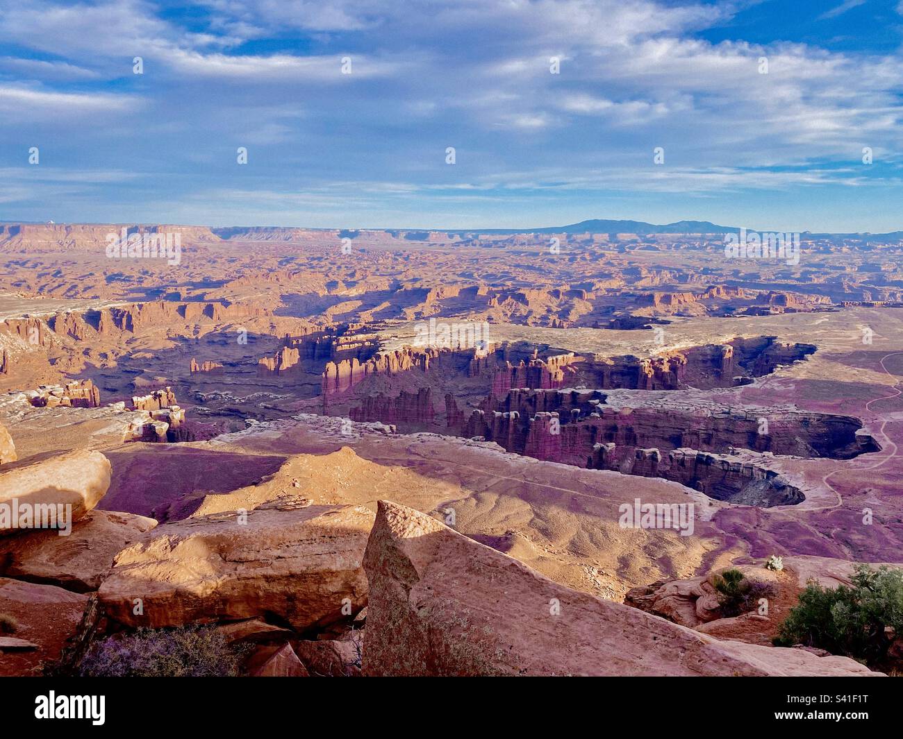 Canyons stretching for miles at Canyonlands National Park with blue sky Stock Photo