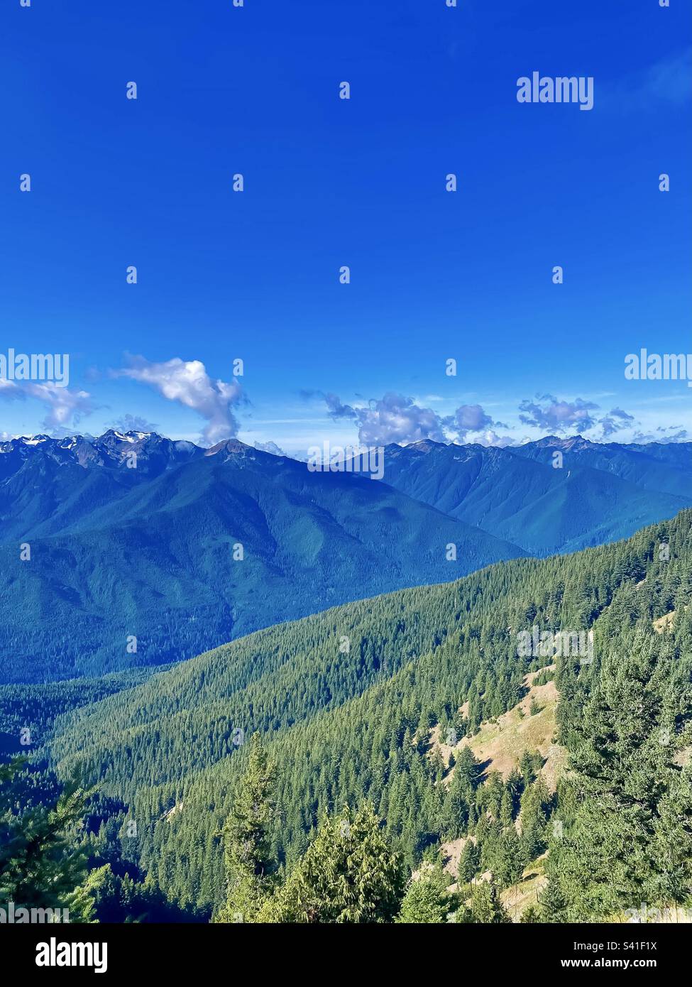 Mountains and green trees. Clear blue skies. Stock Photo