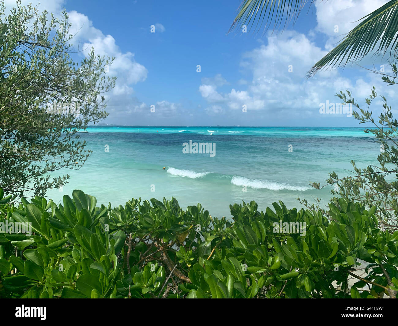 Punta Cancun, Hotel Zone, Cancun, Quintana Roo, Mexico Stock Photo Alamy