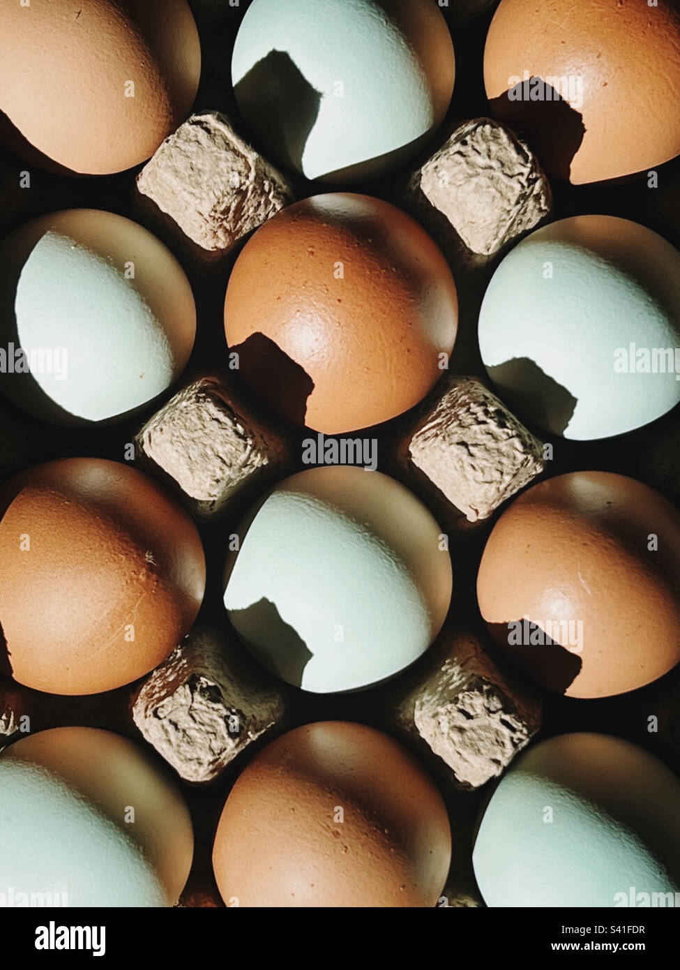 Sexling hires stock photography and images Alamy