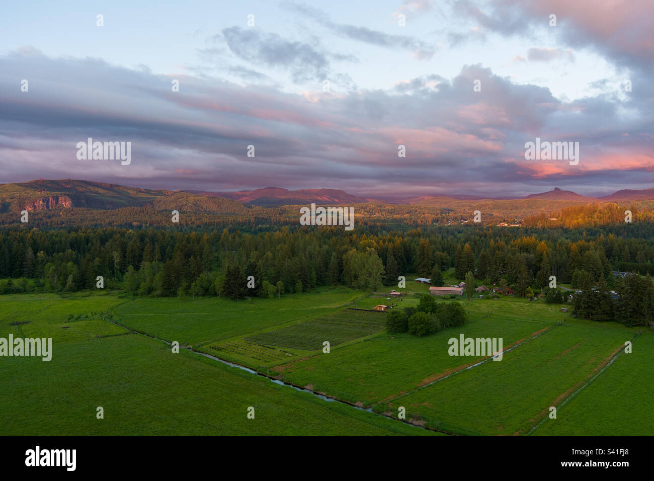 Washington State sunset in June - Smartphone Captured Stock Image