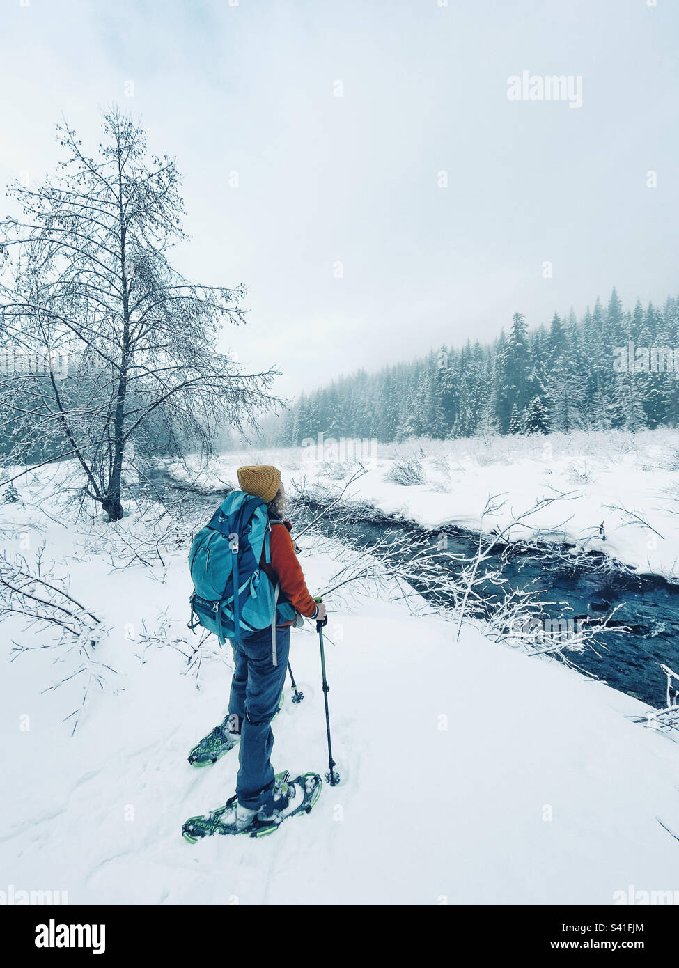 Hiker on snowshoes admiring Beautiful winter wonderland in pacific northwest - Smartphone Captured Stock Image