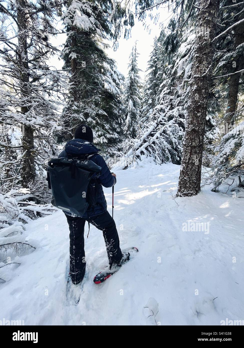 Into the wild! - Smartphone Captured Stock Image