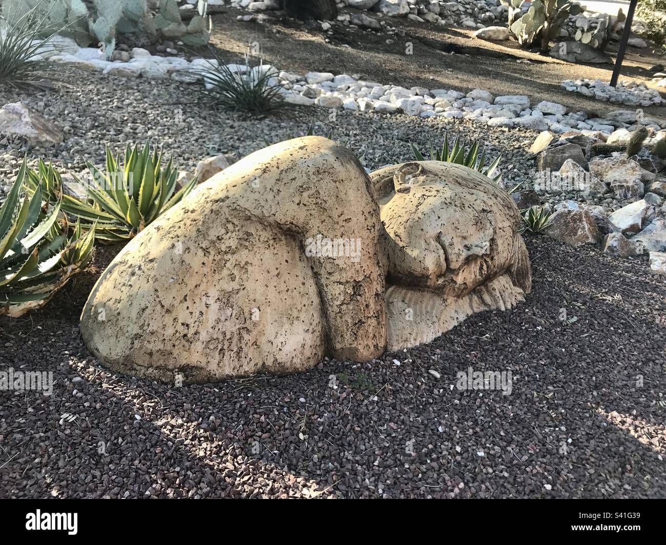 Garden lady sleeping in Tucson Arizona Stock Photo