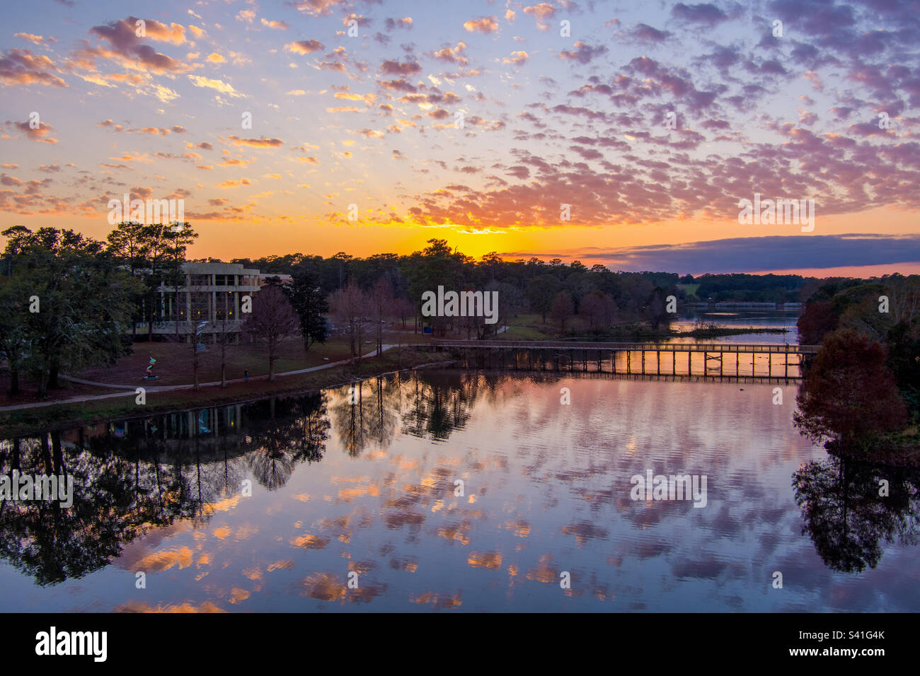 Mobile museum of art at sunset Stock Photo Alamy