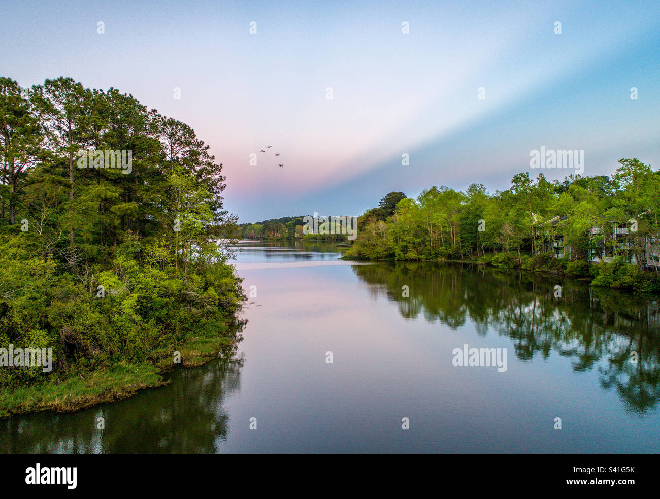 Lake Forest in Daphne, Alabama - Smartphone Captured Stock Image