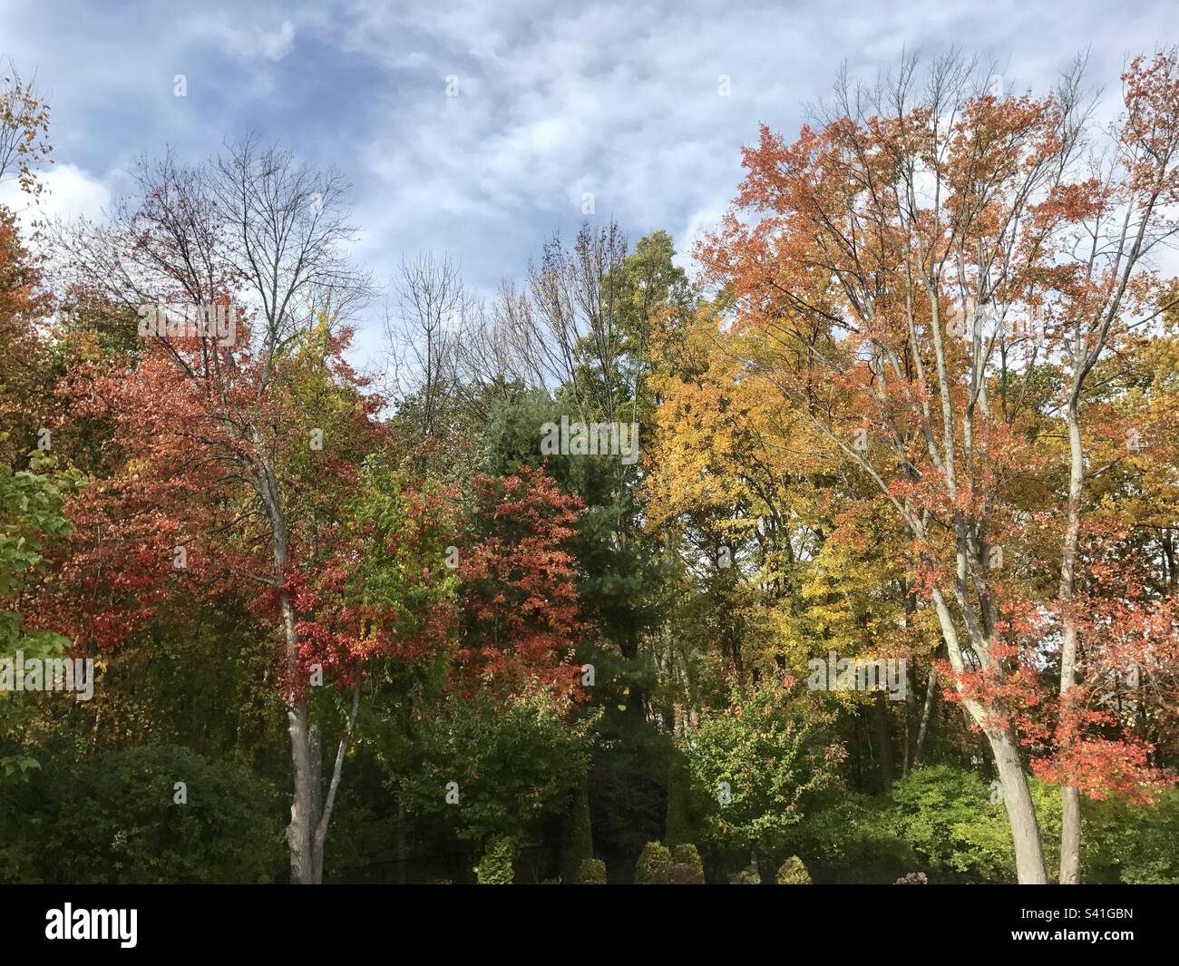 Changing of seasons from summer to fall in New England - Smartphone Captured Stock Image