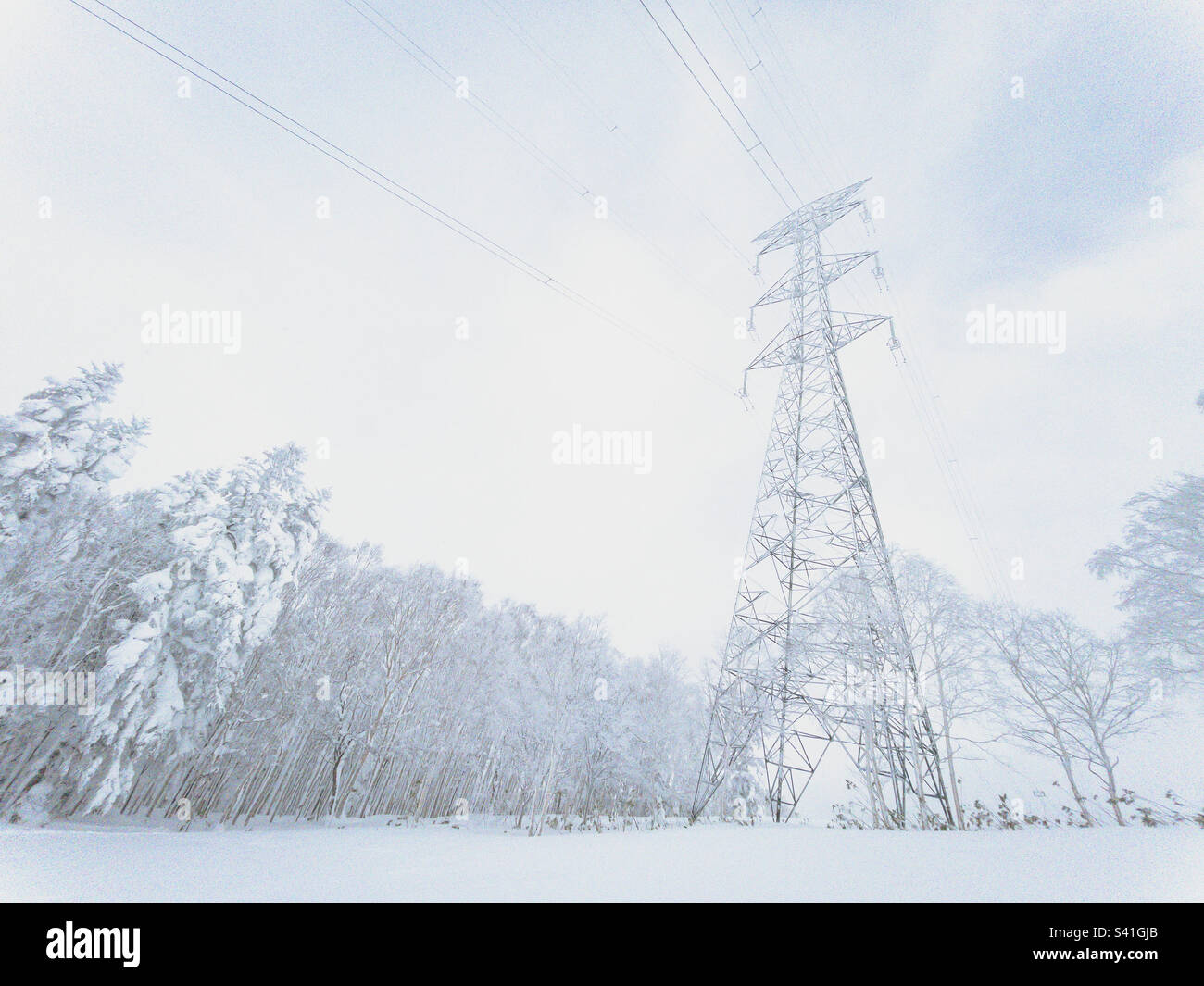 High voltage electric power line in winter - Smartphone Captured Stock Image