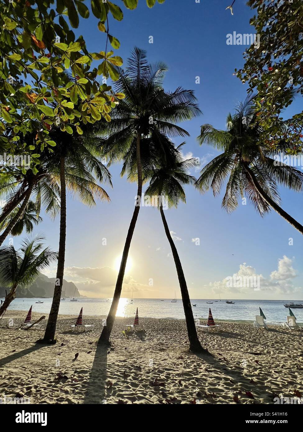 Caribbean beach sunset hi-res stock photography and images - Alamy