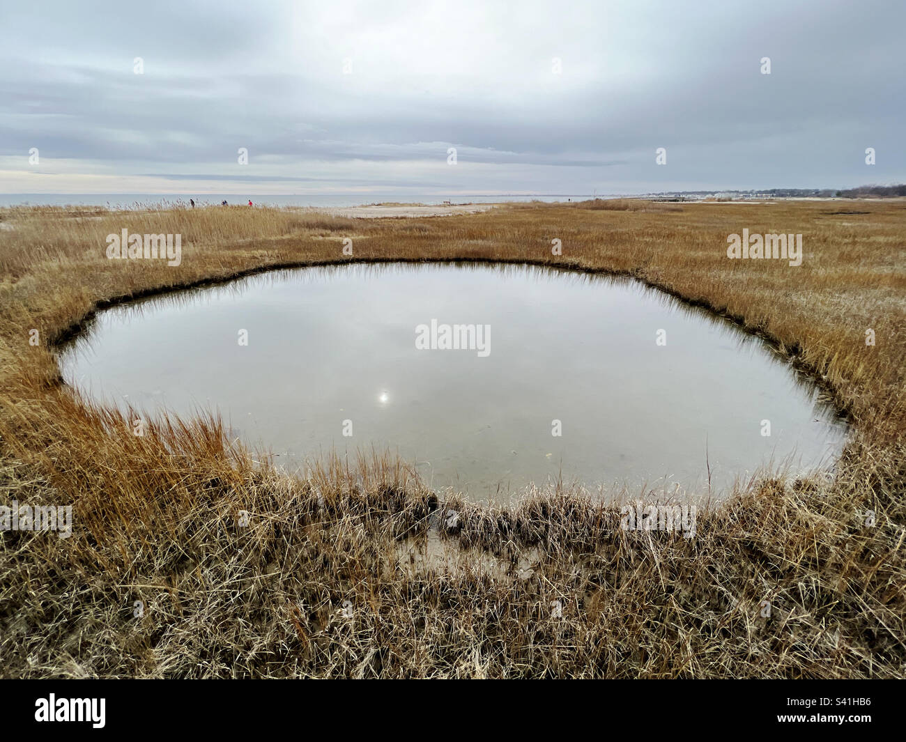 An unusually-shaped pond in a salt marsh in Connecticut, USA. - Smartphone Captured Stock Image
