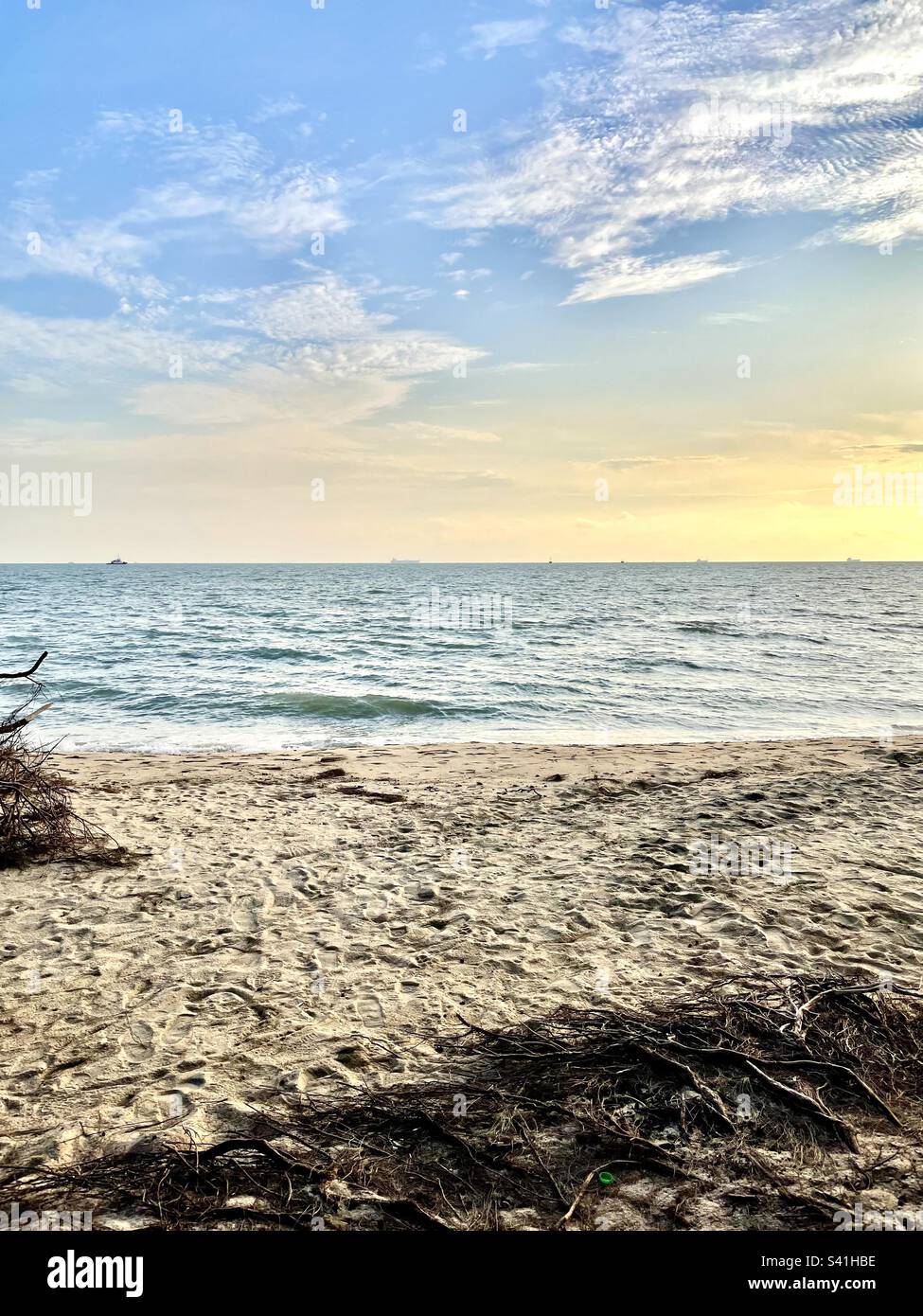 Different shades of nature near sunset time at Pantai Puteri Melaka