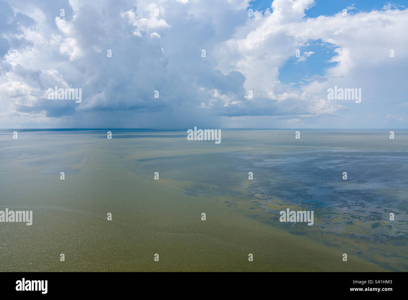 Mobile bay in June - Smartphone Captured Stock Image
