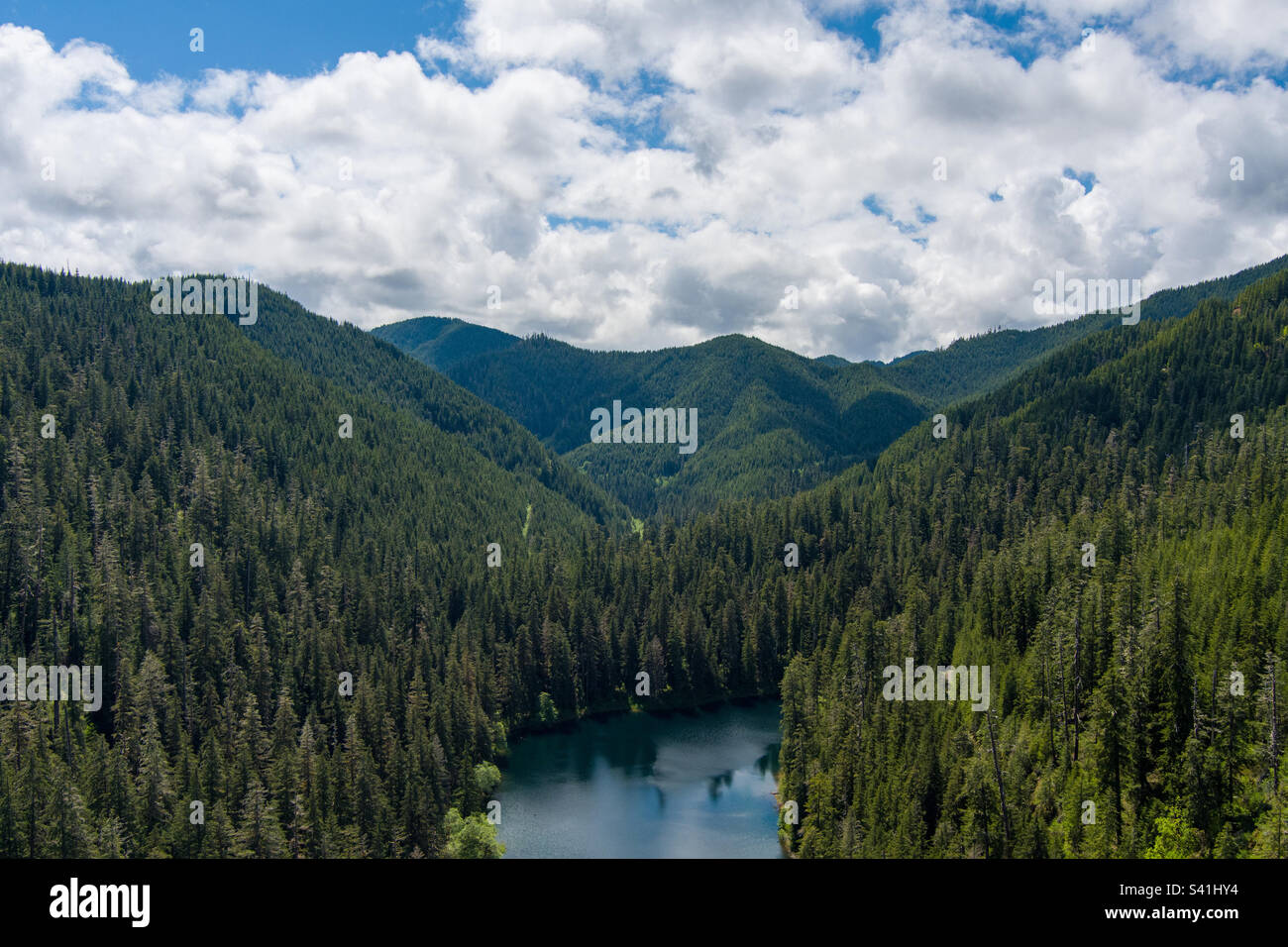Spider Lake, Washington state - Smartphone Captured Stock Image