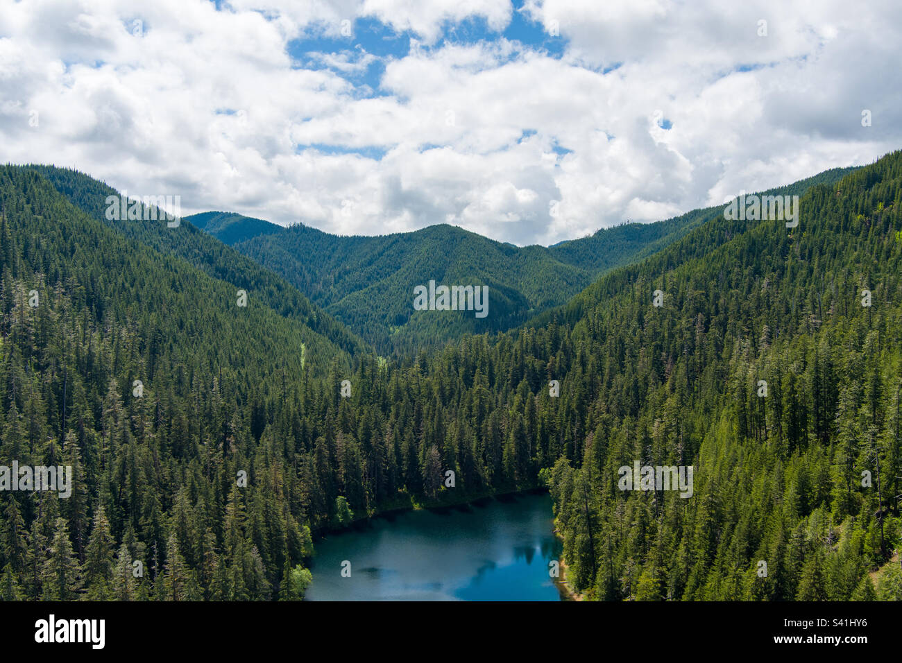 Spider lake in June - Smartphone Captured Stock Image