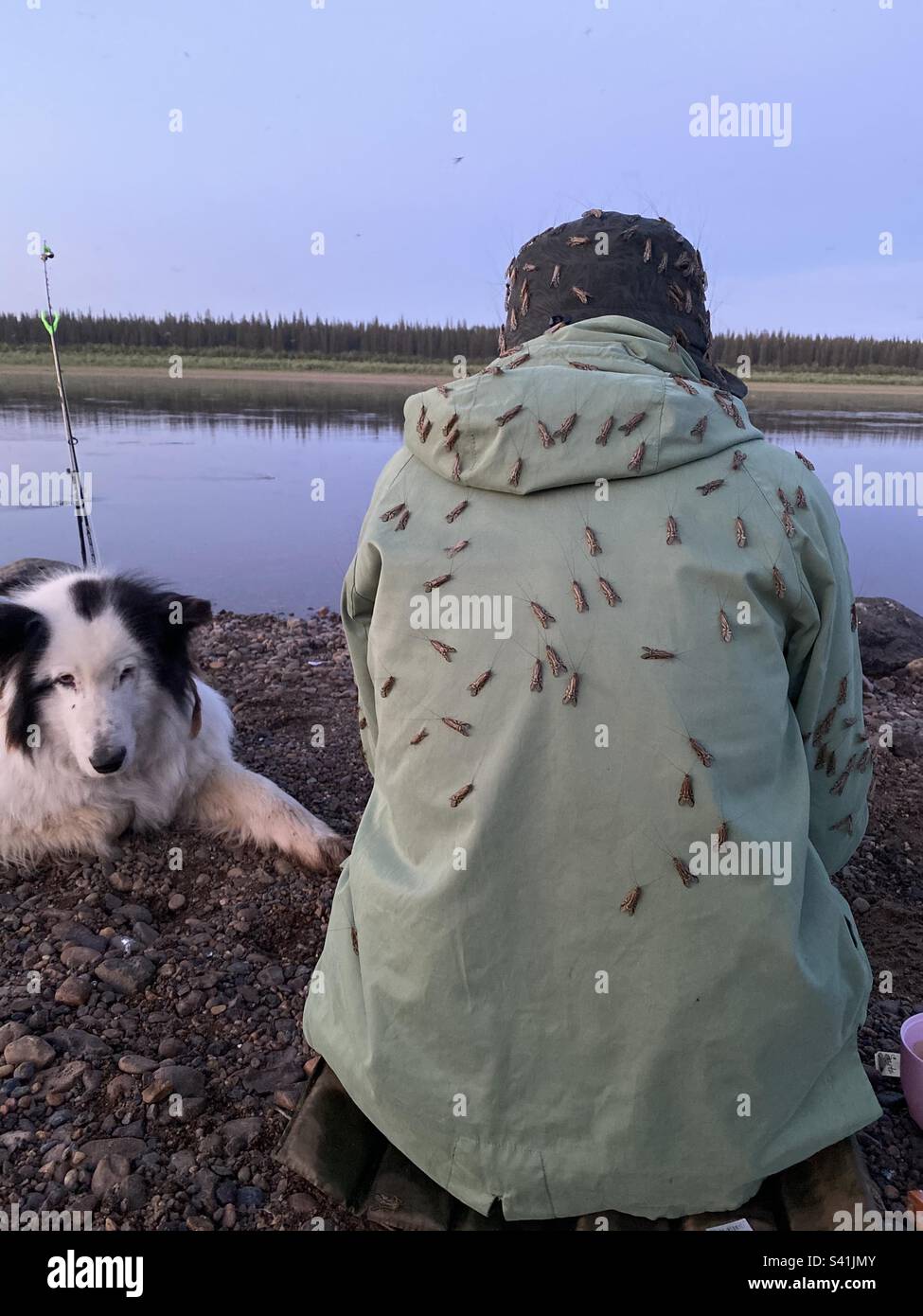 A fisherman girl in a hat sits with her back plastered with moths to the camera on the river bank next to a fishing rod and a white dog. - Smartphone Captured Stock Image