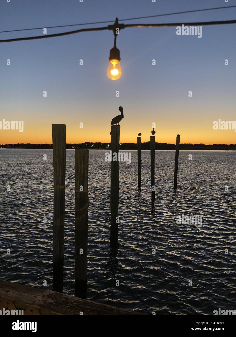 Light bulb matching the color of sunset in jacksonville florida hires