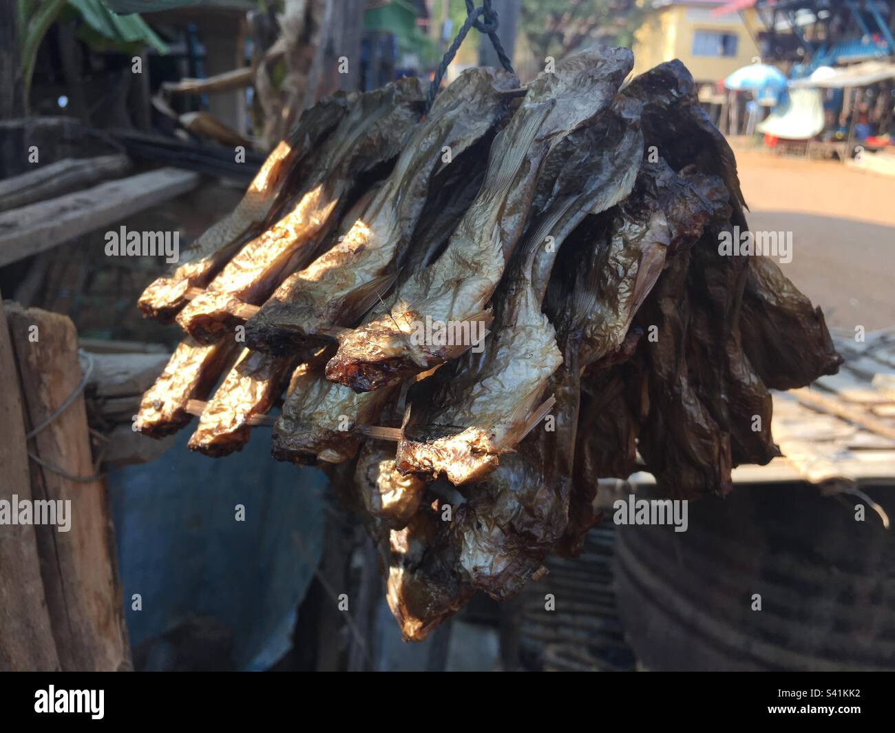 Dried Fishes Stock Photo