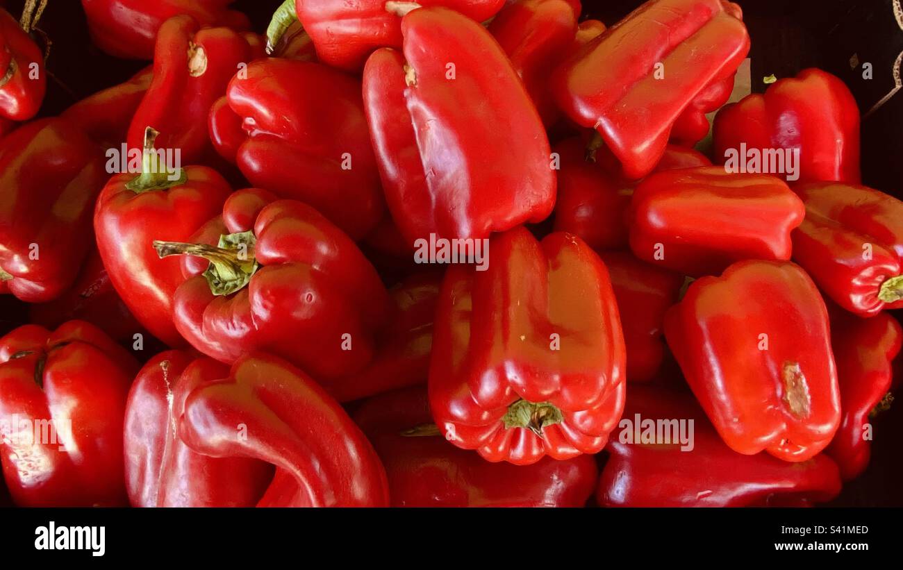 Red Capsicums in a market stall - Smartphone Captured Stock Image