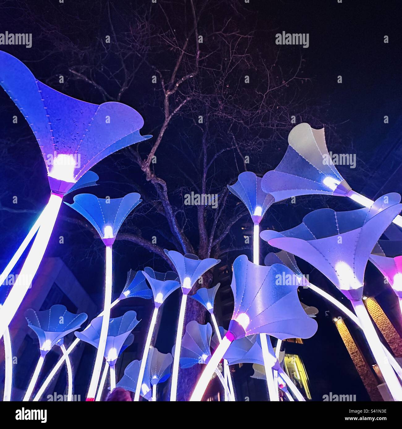 Bristol Light Festival Trumpet Flowers Stock Photo Alamy