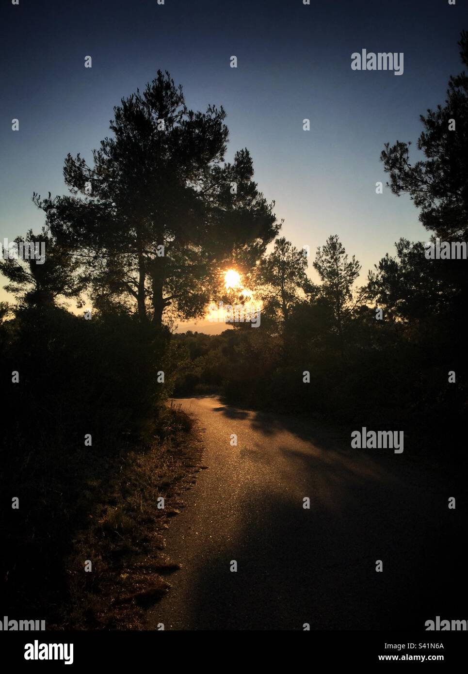 Rural sunset, Catalunya, Spain. - Smartphone Captured Stock Image