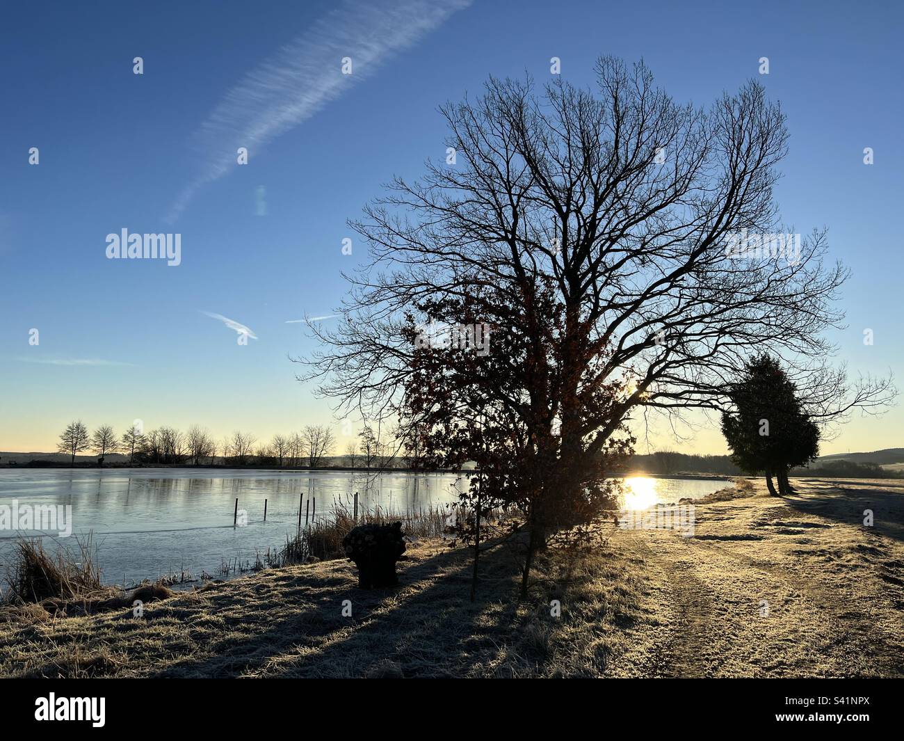 Teichlandschaft hires stock photography and images Alamy