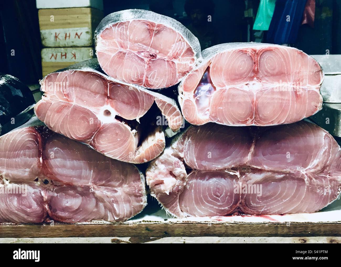 Large pieces of tuna fish stacked up for sale at a market in Sri Lanka - Smartphone Captured Stock Image