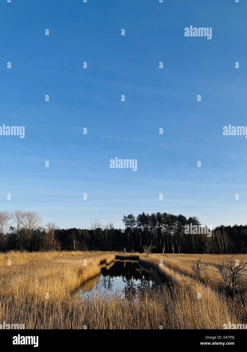 Burgh Castle. Norfolk. Uk Stock Photo Alamy
