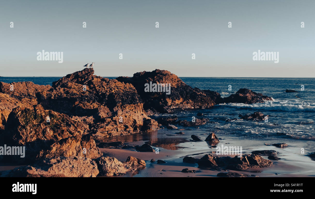 Seascape in evening sun with two seagulls standing on a rock - Smartphone Captured Stock Image