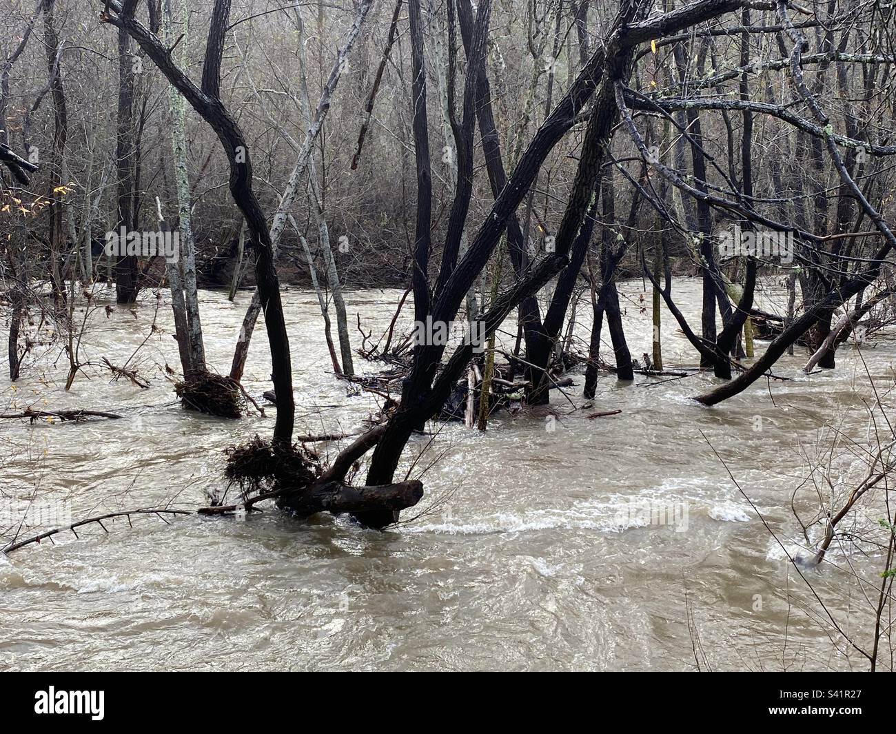 Carmel river flood hires stock photography and images Alamy