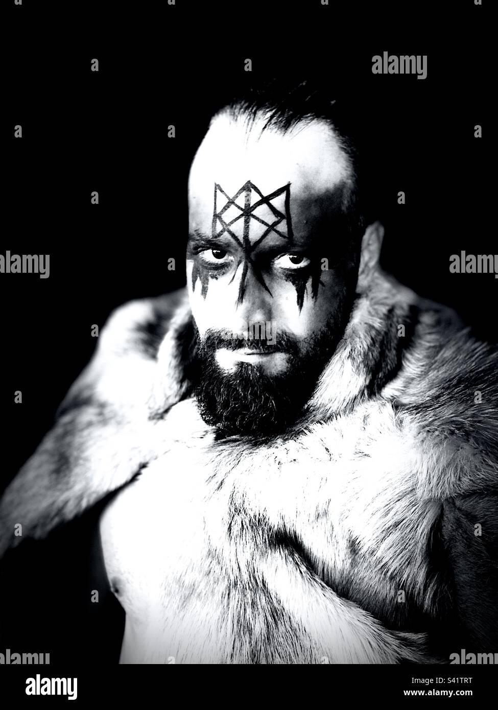 Viking portrait - Smartphone Captured Stock Image