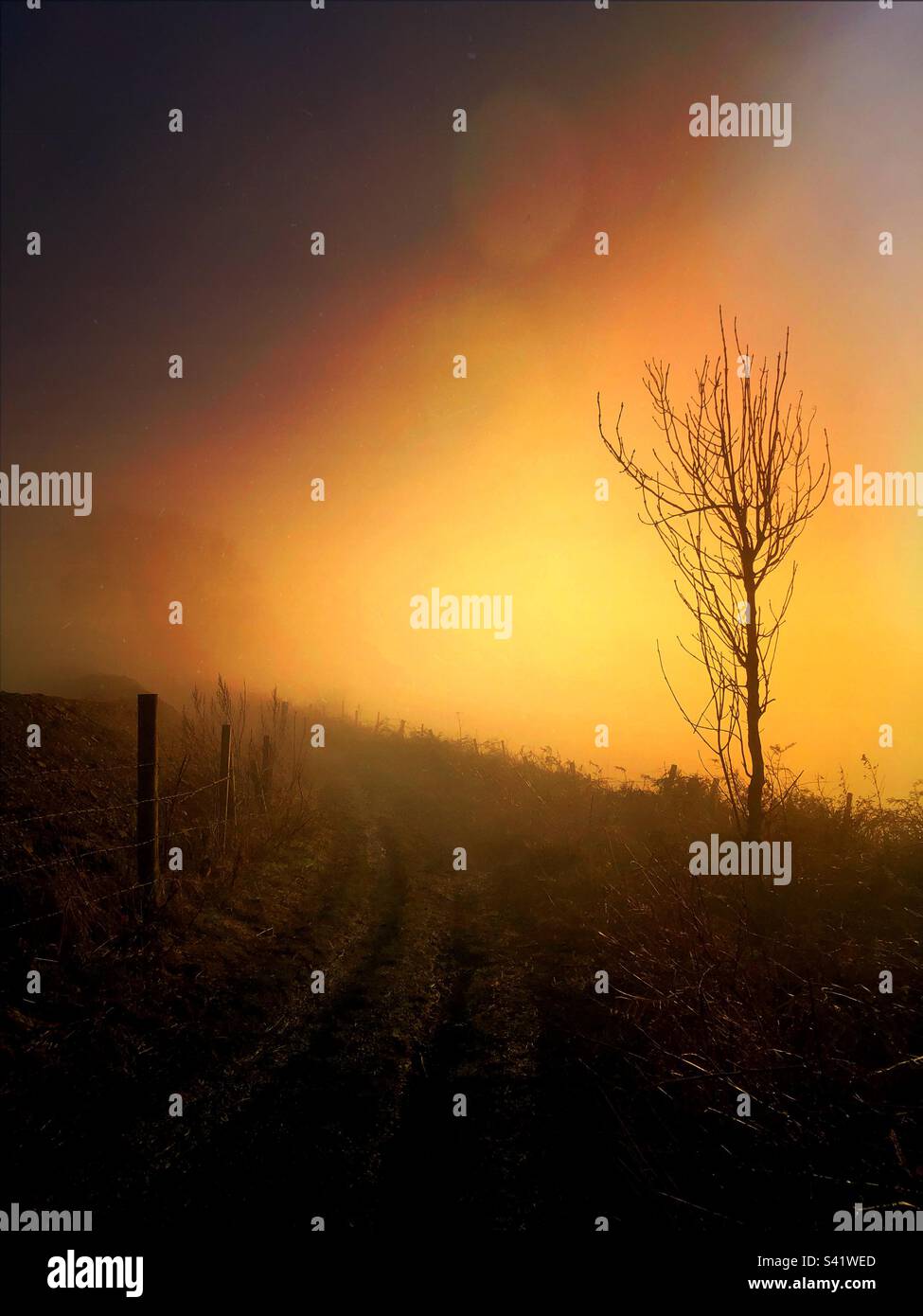 Country path heading into the distance - Smartphone Captured Stock Image