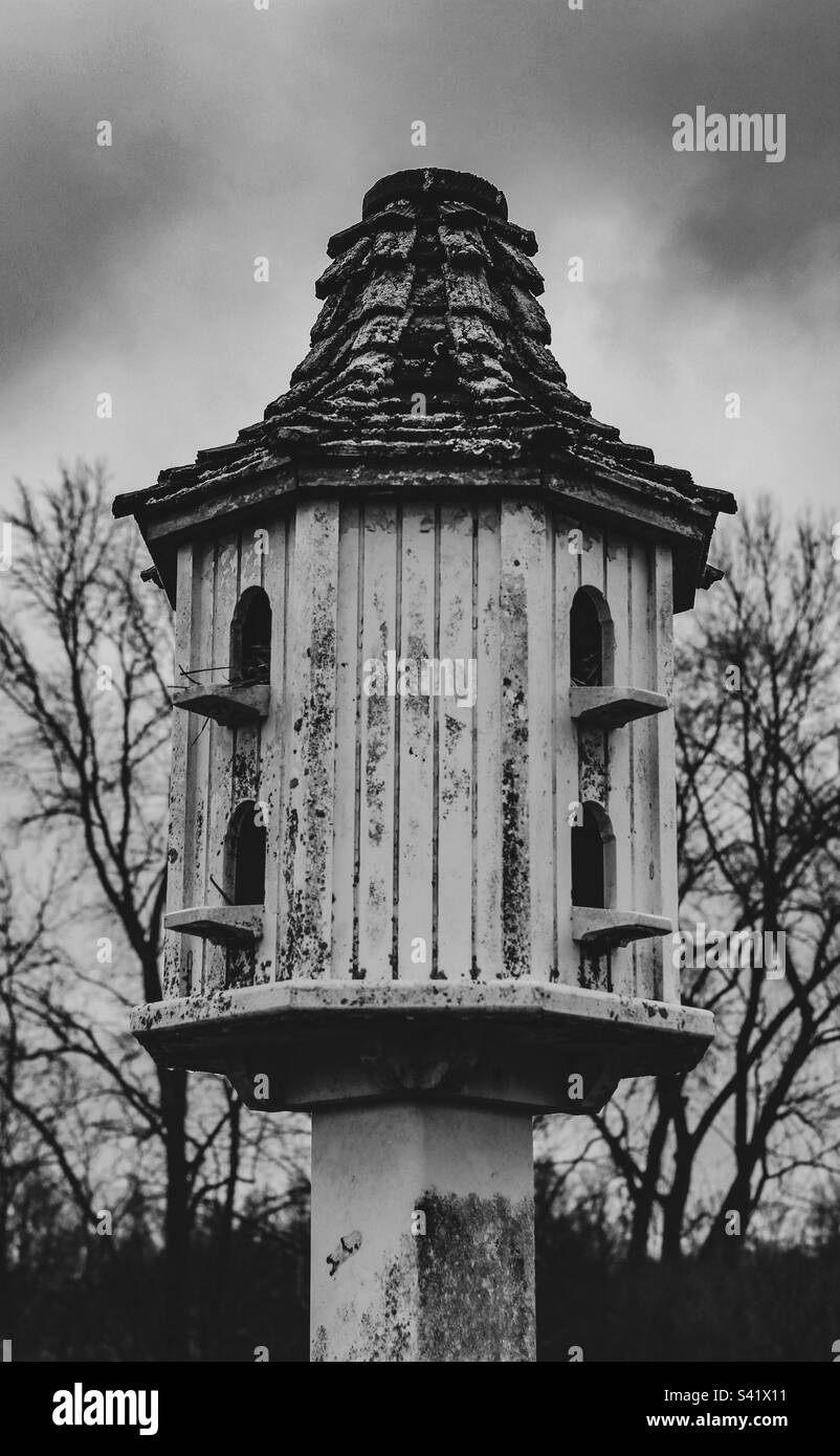 The bird house Stock Photo - Alamy