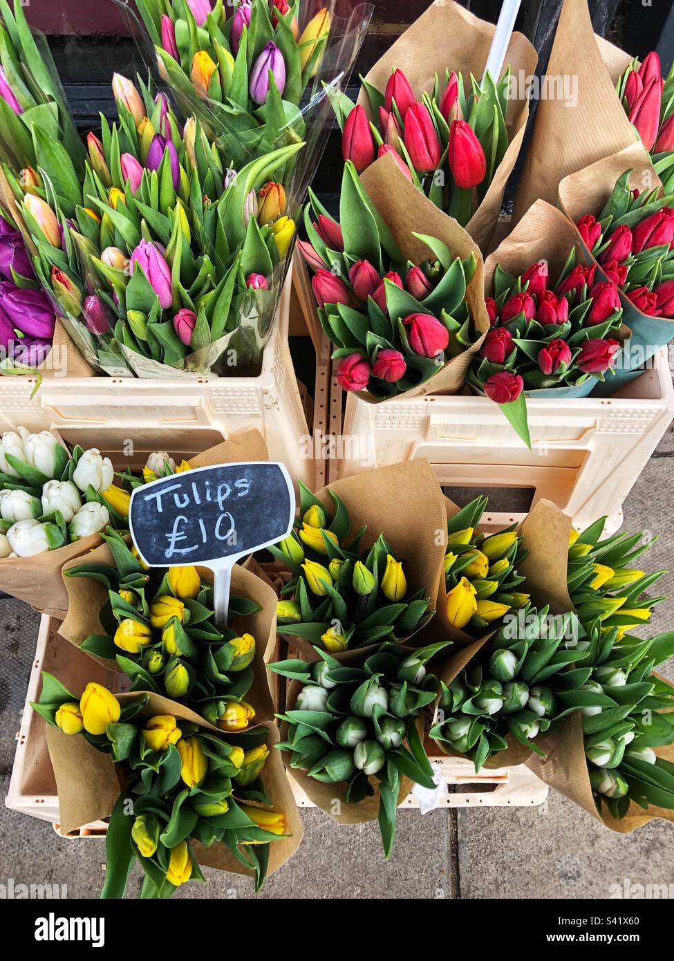 Selection of Colourful Cut bud Tulips varieties priced up for sale at Florist - Smartphone Captured Stock Image