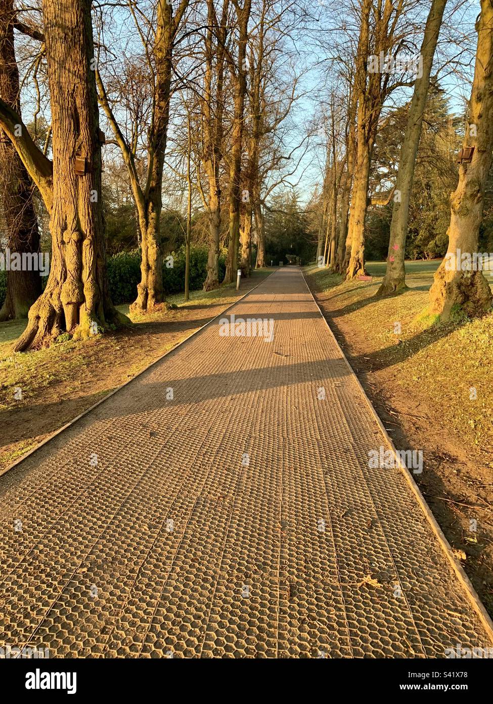 Footpath at canon hall Cawthorne. Stock Photo