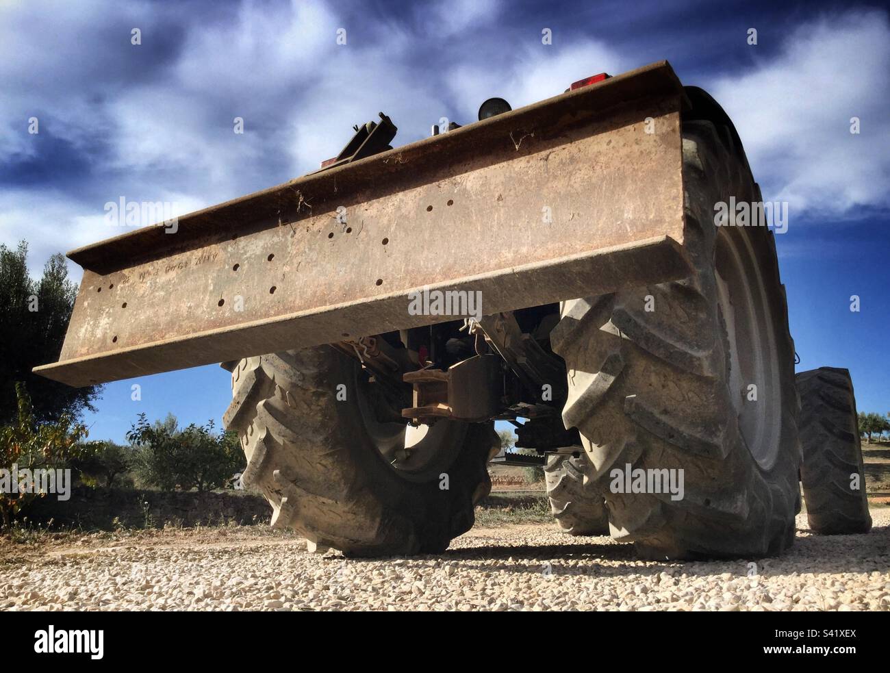 Olive harvest preparations with a tractor, flattening the land