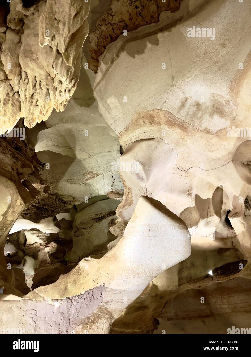 The limestone formation appears to resemble a cat as you can see the