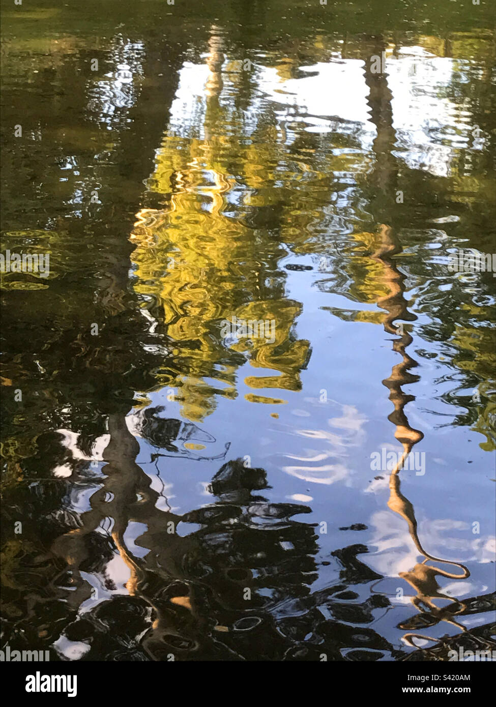 Reflections on water - Smartphone Captured Stock Image