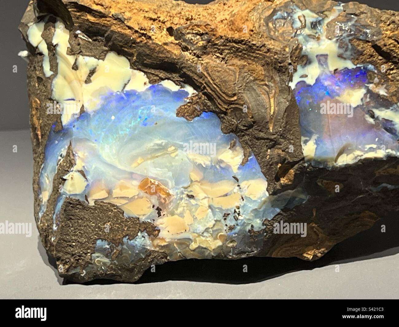 Boulder Opal from Queensland Australia - Smartphone Captured Stock Image