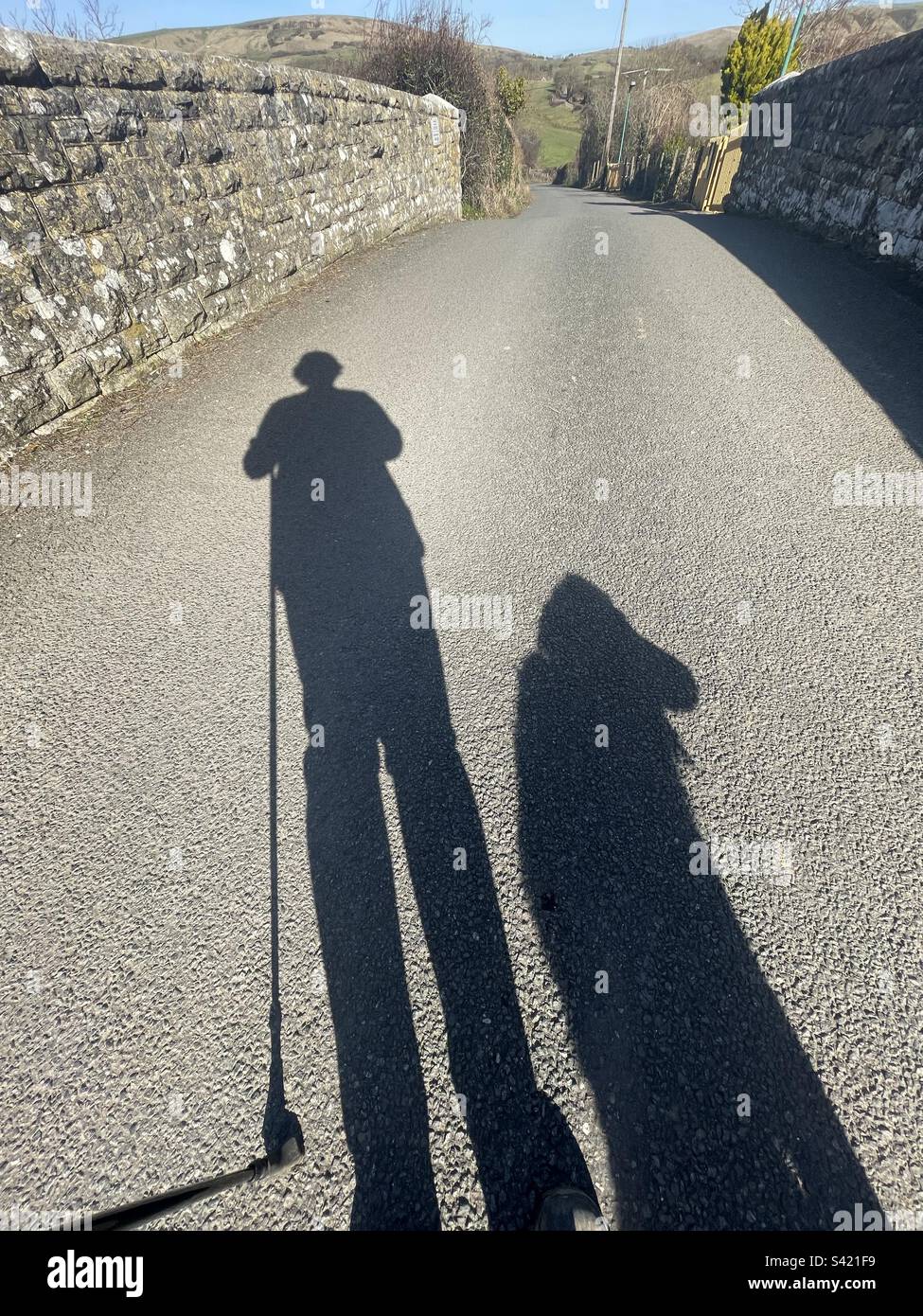 One person and their dog on a sunny winter’s day walking on a country lane - Smartphone Captured Stock Image