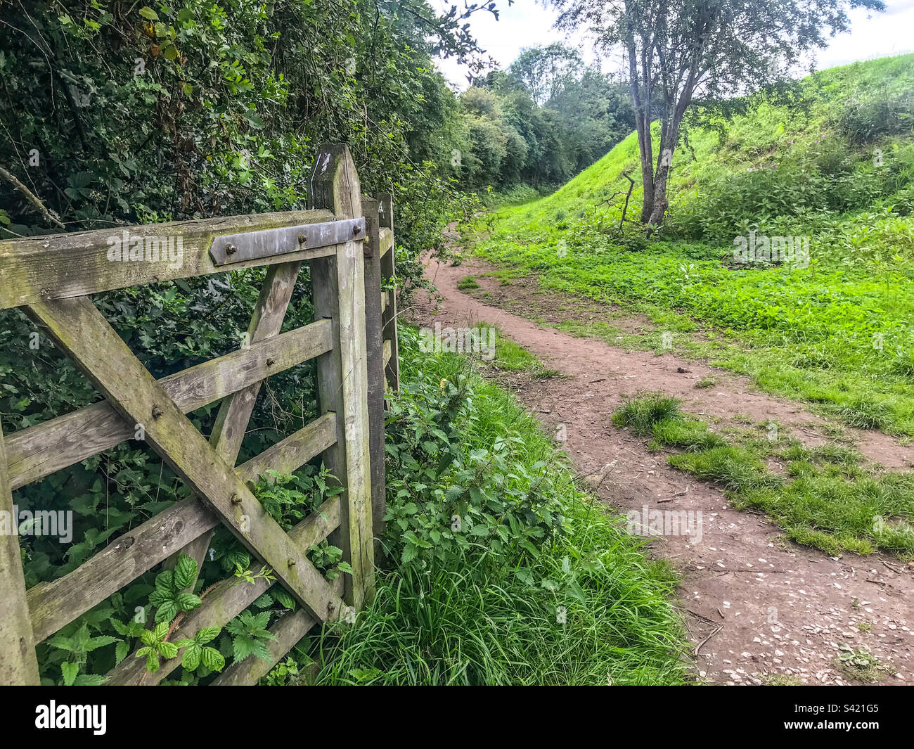 Sale water park nature reserve Stock Photo Alamy