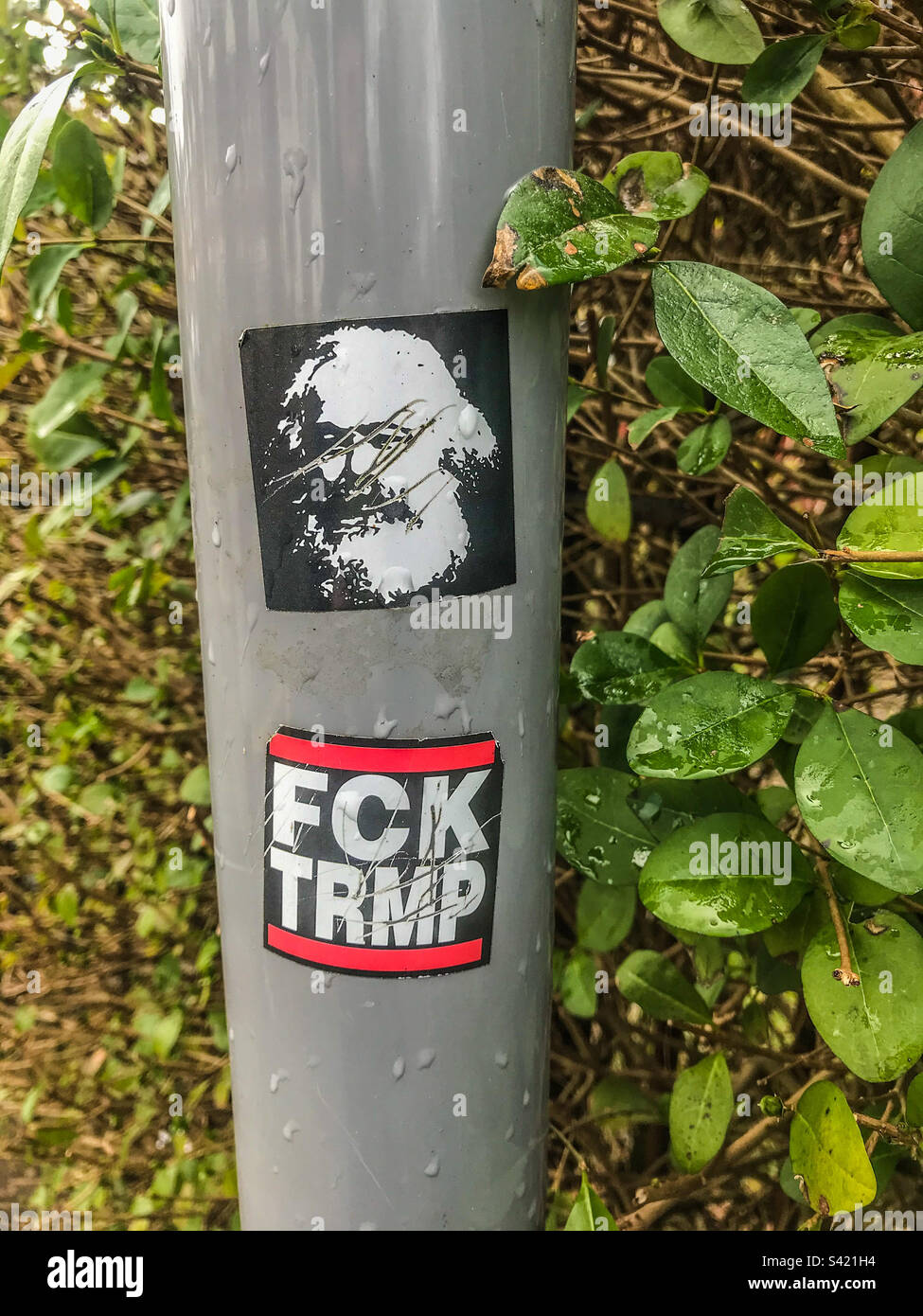 F*** Trump sticker on a lamppost - Smartphone Captured Stock Image