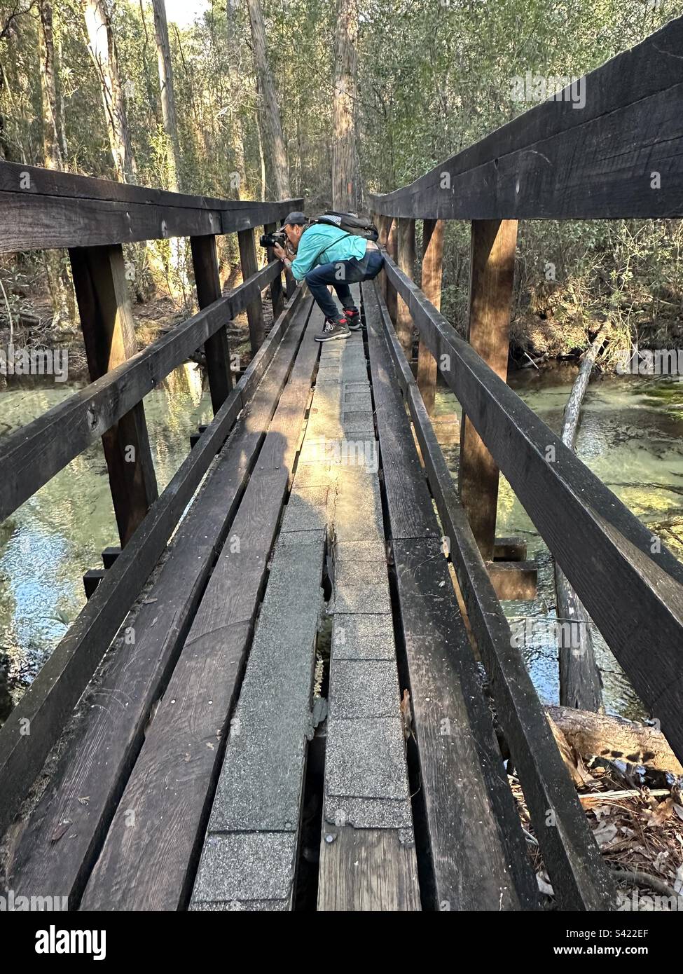 The photographer’s stance, this picture was taken while walking through the Florida scenic trail located in Northwest Florida section Stock Photo