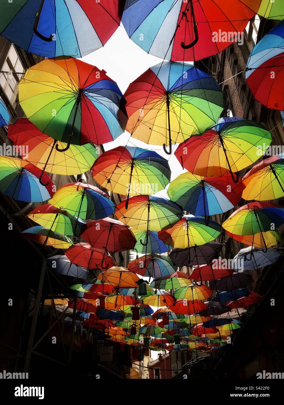 Under my umbrellas… Stock Photo Alamy