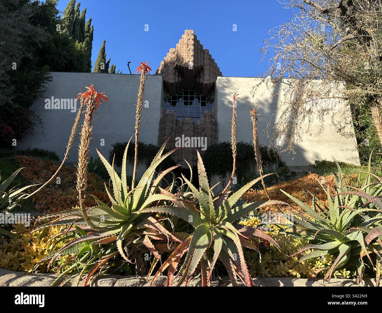 Aloe plants at the landmark Sowden House, a.k.a. Franklin House or Jaws House, in the Los Feliz